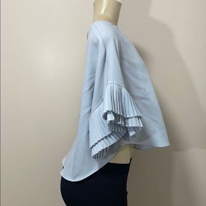 Pleated Sleeve Top