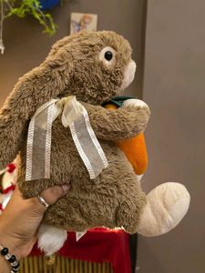 Cute Plush Bunny
