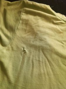 Price Drop 💧 Fresh Green TShirt With Little Flaw