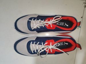Puma Shoes For Men. Unused. No Coins.