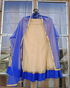 Elegant Beige & Blue Lehenga Choli
