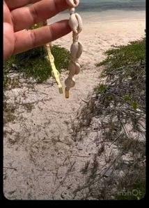 Cowrie Shell हेयर एक्सेसरीज़
