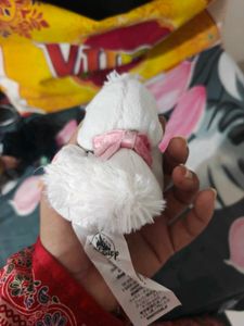 Cute White Kitten Plush Toy