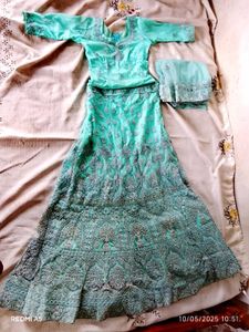 Mint Green Embroidered Lehenga
