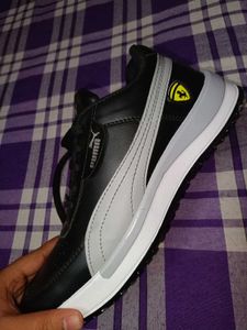 New Puma shoes Worth 650₹