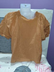 Stylish brownesh Puff Sleeve Top