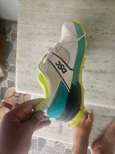 DSC Cricket Shoes