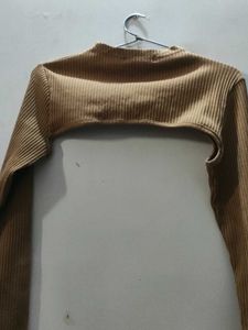 Ribbed Cropped Turtleneck Top
