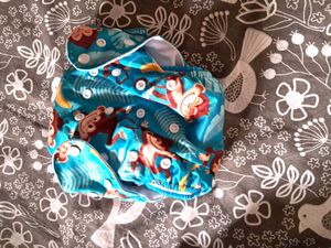 2 Reusable Cloth Diapers - Monkey &amp; Rainbow Prints
