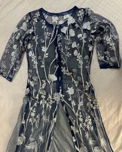 Sparkling Metallic Sheer Kurta with Crop