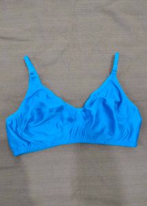 Vibrant Blue Everyday Bra