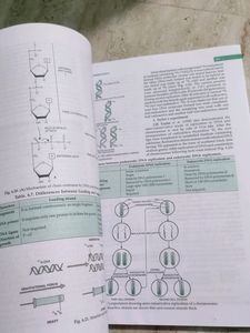 12 biology modern ABC