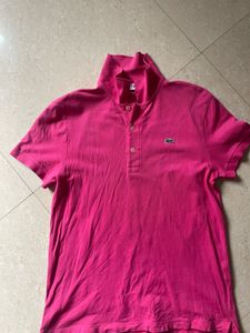 Pink Lacoste Polo Shirt