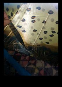 Cute Leopard Print Umbrella