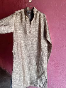 Elegant Paisley Kurta Set