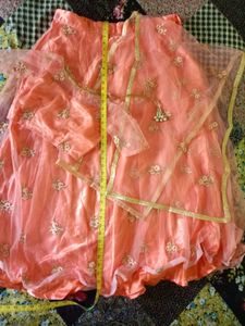 Peach Embroidered Lehenga Choli Set