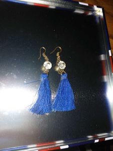 Blue Tassel Dangle Earrings