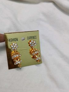 Elegant covering Earrings
