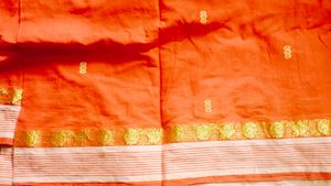Elegant Orange Saree with Gold Border
