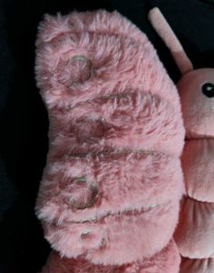Butterfly Soft Plush Pillow Toy 🩷