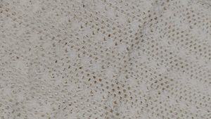 cream colour net cloth 🪐✨