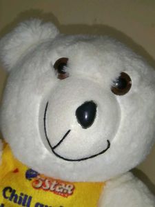 White Teddy bear
