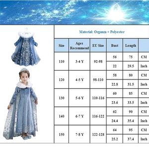 Original Elsa Dress Frozen 2