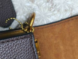 coach Tabby Coffee Brown with c print ?