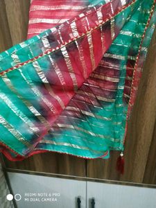 Saree with Golden Stripes
