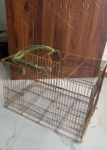 Wire Pet Cage