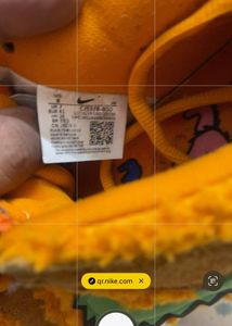 Nike sb dunk shoes