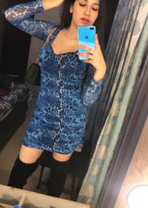 Blue Animal Print Dress