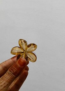totally new Set of Cute Hair Claw Clips