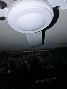 Angler Industries Ceiling Fan