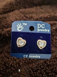 Heart AD Stone Earing