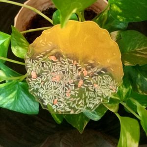 Beautiful Handmade Coaster