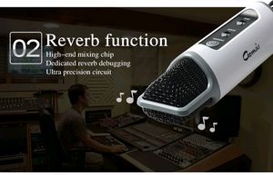 Gomeir Bluetooth Karaoke Smart Microphone