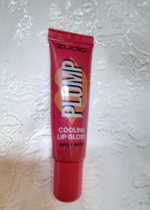 Zudio Lip Gloss &amp; Lipstick Duo