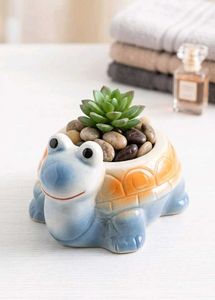 turtle succulent planter