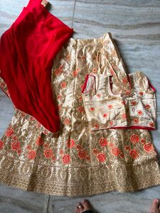 Elegant Embroidered Lehenga Choli Set