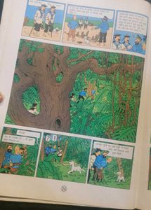 Tintin's Adventures: Red Rackham's Treasure