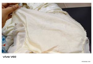 Elegant Off-White Embellished Gown