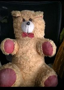 Tedy Bear