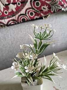 Miniature White Flower Arrangement