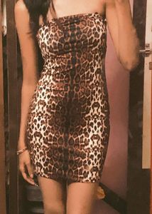 Leopard Print Bodycon Mini Dress