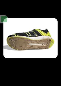 Adidas Sports Shoes
