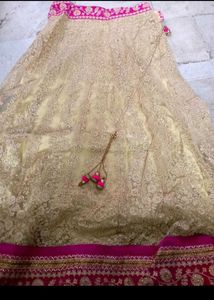 Gorgeous Gold Embroidered Lehenga