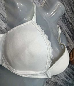 36 C Padded Look 💚