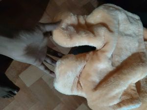 Cozy Horse Baby Sleep Sack