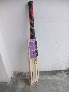 Kashmir Willow Bat Ss Knight Rider Edition